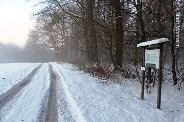 Themenpfad Zukunftswald Monheim - auch im Winter eine Wanderung wert