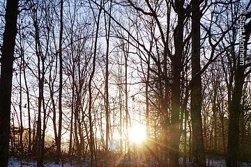 Sonnenaufgang im winterlich verschneiten Zukunftswald Monheim