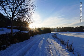 Der winterliche Zukunftswald Monheim - einen Spaziergang wert