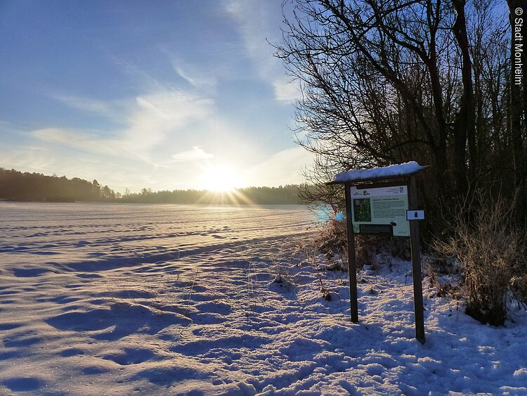 Themenpfad Zukunftswald Monheim - Winterwanderung