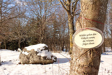 Waldpark Huisheim - Zitat zum Nachdenken